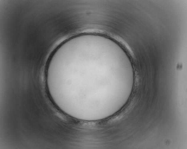 X0000103400882200809120921