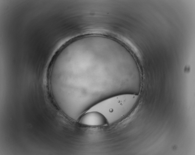 X0000103400883200809120921