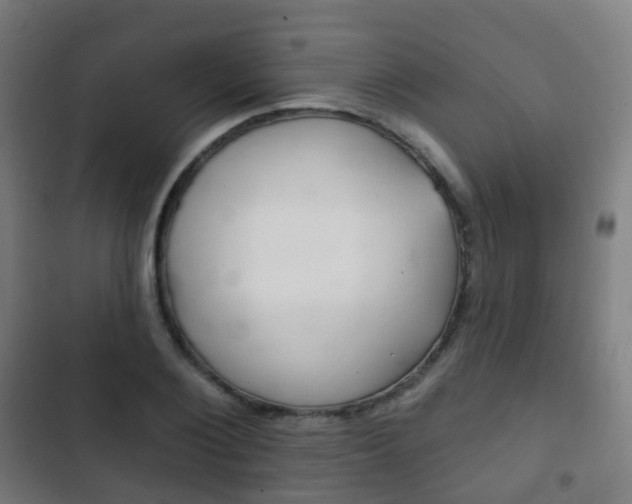X0000103400884200809120921