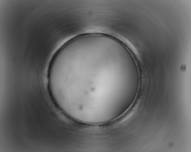 X0000103400885200809120921