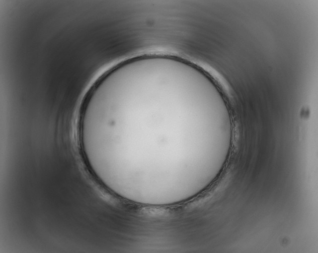 X0000103400886200809120921
