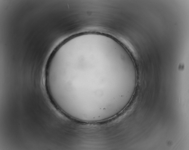 X0000103400888200809120921