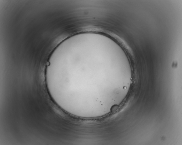 X0000103400889200809120921