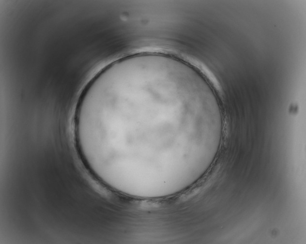 X0000103400890200809120921