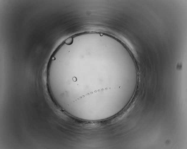 X0000103400891200809120921