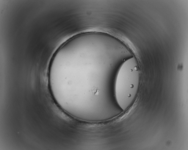 X0000103400892200809120921
