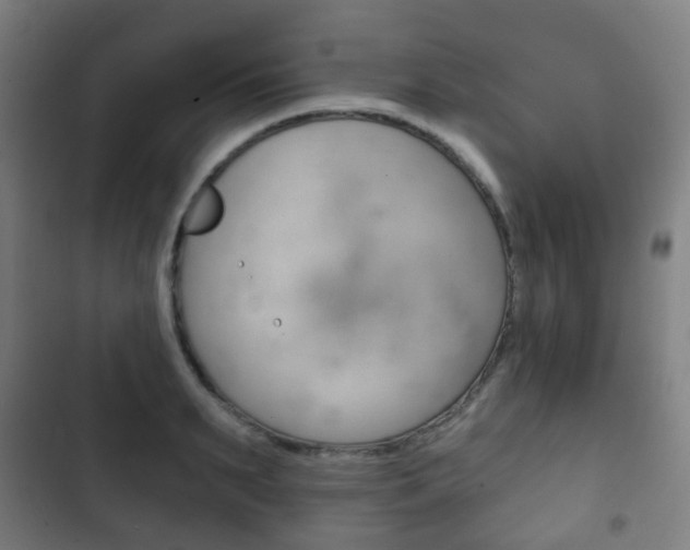 X0000103400895200809120921
