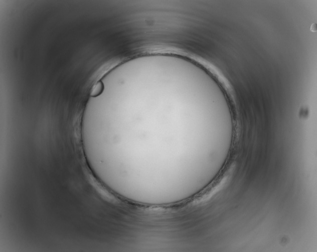 X0000103400897200809120921