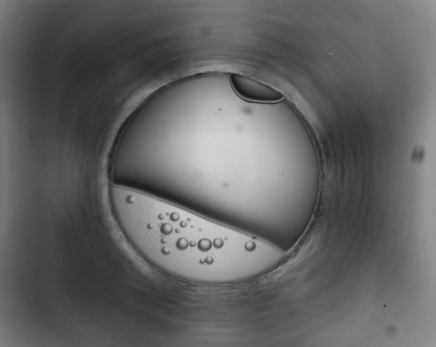 X0000103400898200809120921
