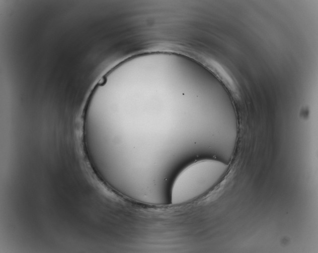 X0000103400900200809120921