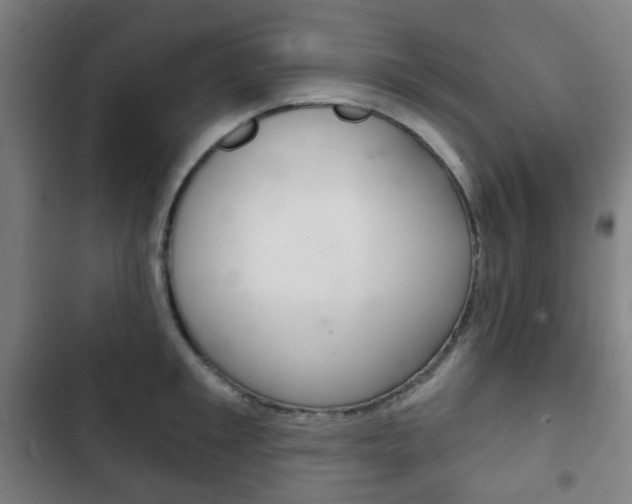 X0000103400901200809120921