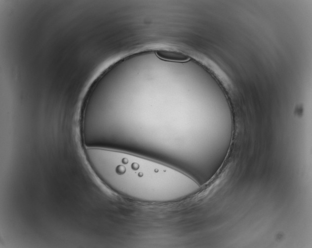 X0000103400902200809120921