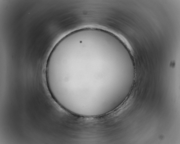 X0000103400903200809120921