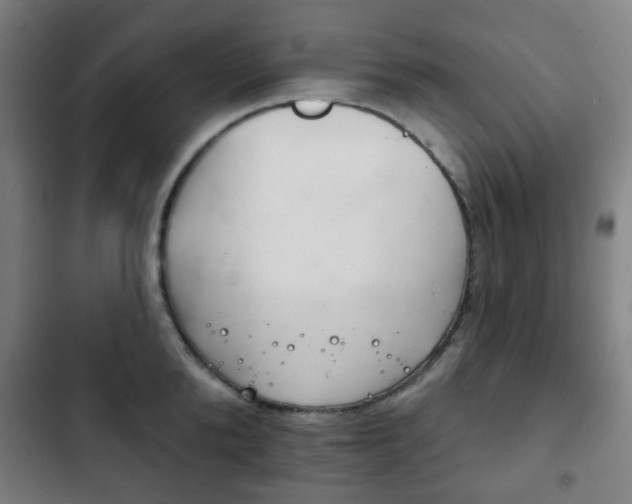 X0000103400904200809120921