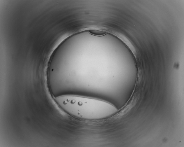 X0000103400906200809120921