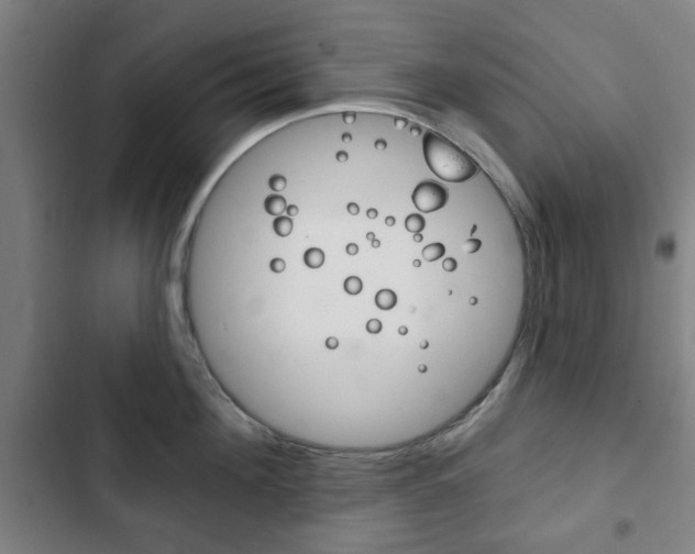 X0000103400908200809120921