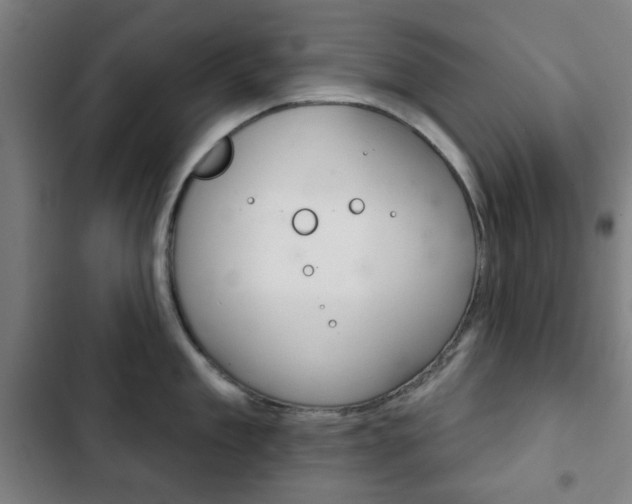 X0000103400909200809120921