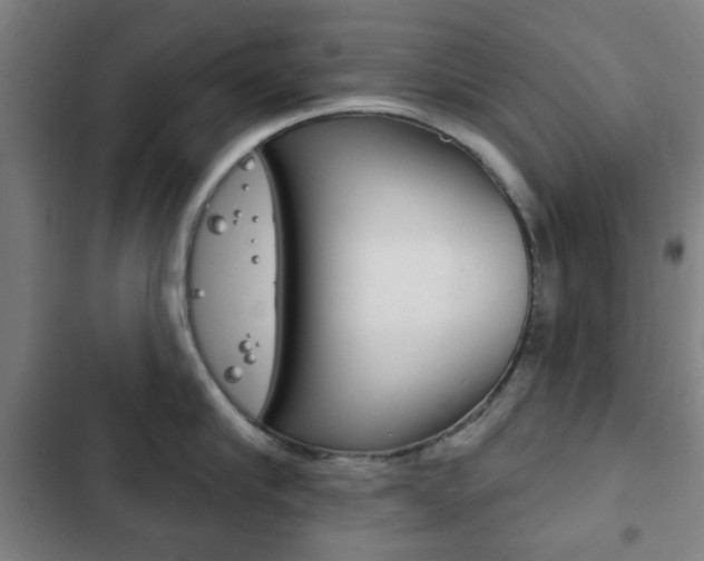 X0000103400910200809120921