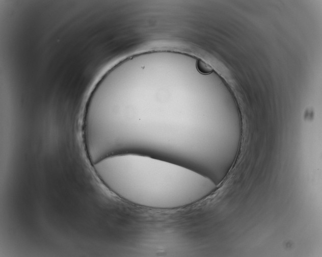 X0000103400912200809120920