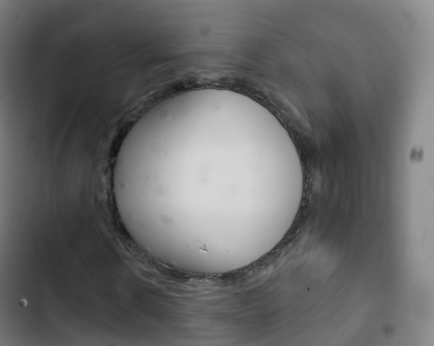 X0000103400914200809120920