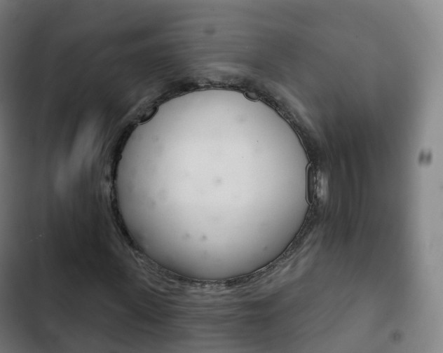 X0000103400915200809120920