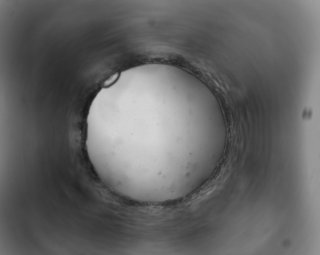 X0000103400916200809120920