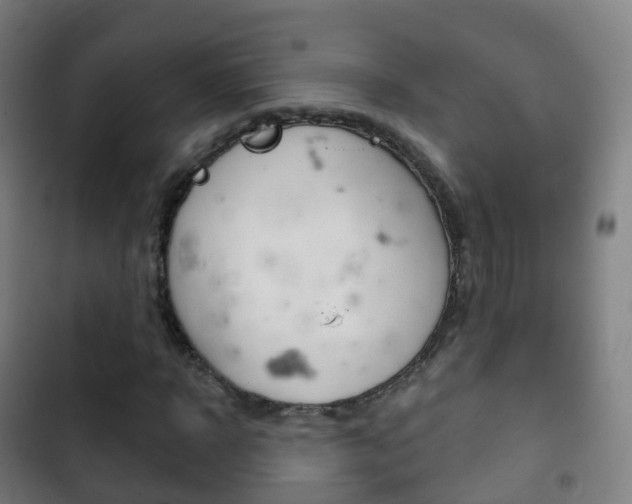 X0000103400918200809120920