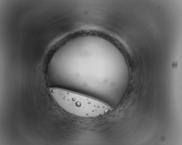 X0000103400919200809120920