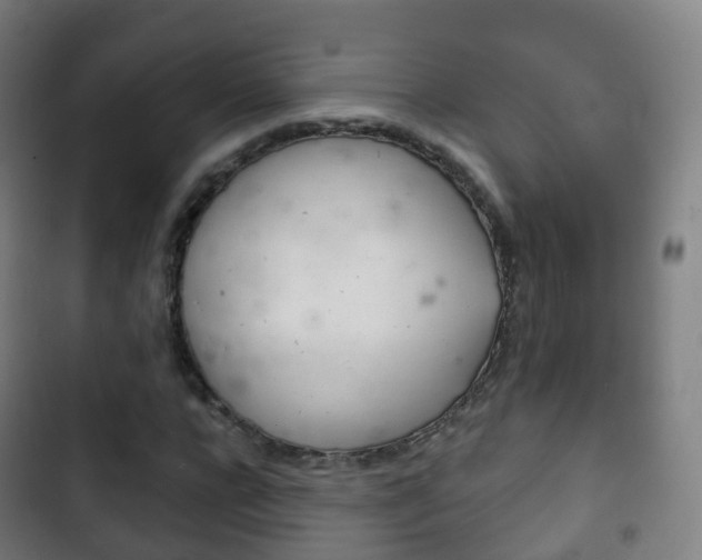 X0000103400920200809120920