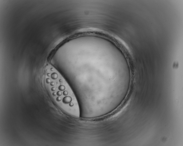X0000103400921200809120920