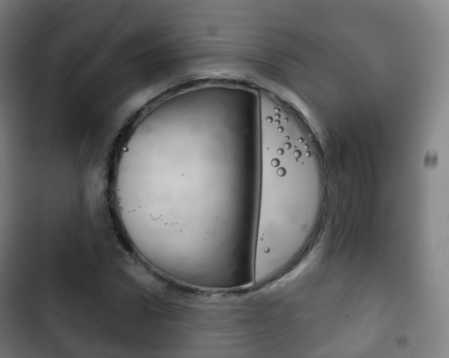 X0000103400922200809120920