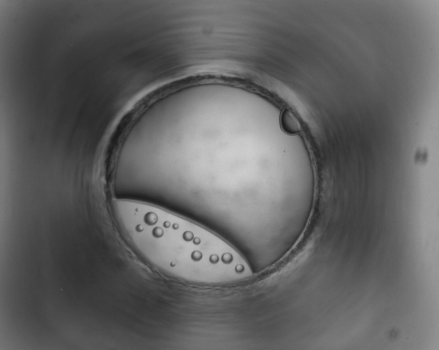 X0000103400923200809120920