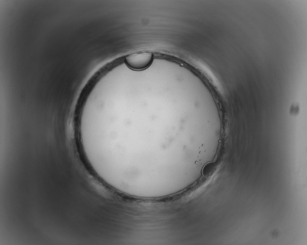 X0000103400924200809120920