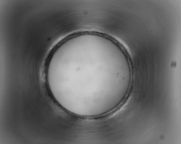 X0000103400925200809120920