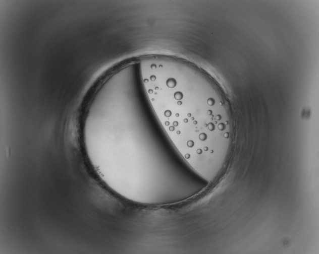 X0000103400926200809120920