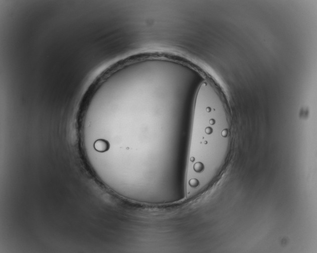 X0000103400927200809120920