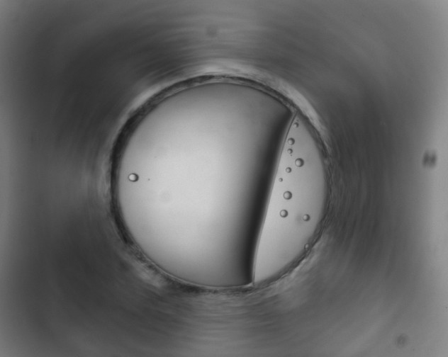 X0000103400931200809120920