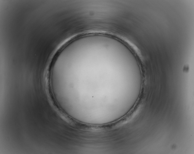 X0000103400933200809120920