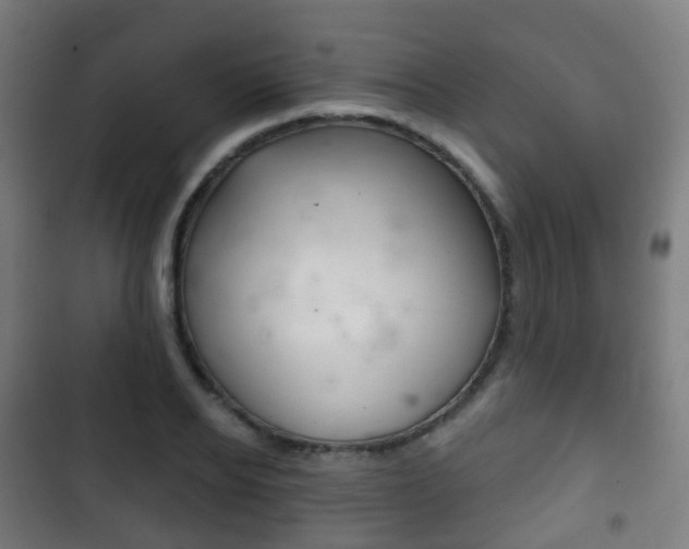 X0000103400934200809120920