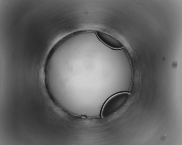 X0000103400936200809120920