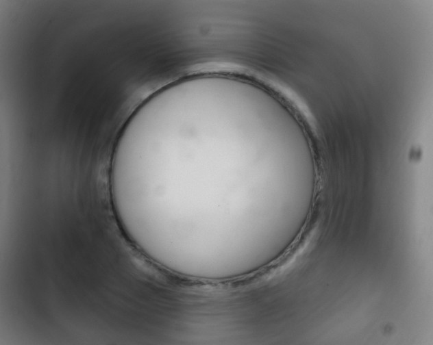 X0000103400937200809120920