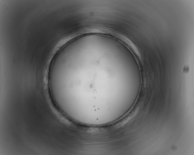 X0000103400938200809120920