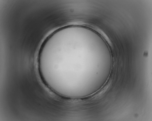 X0000103400939200809120920