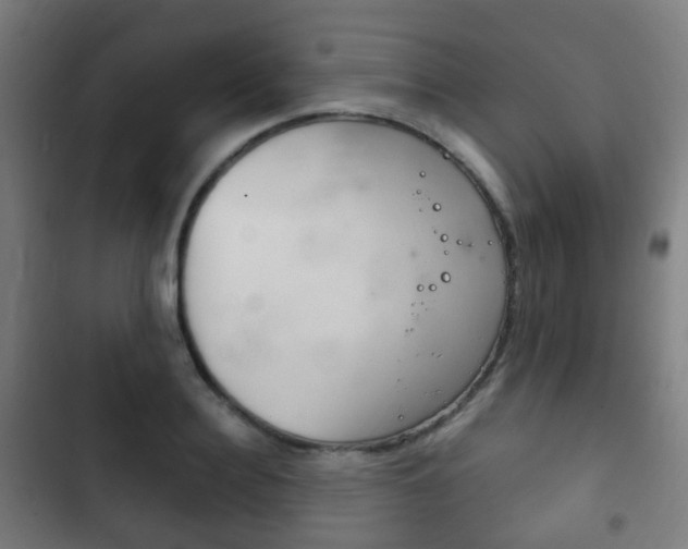 X0000103400940200809120920