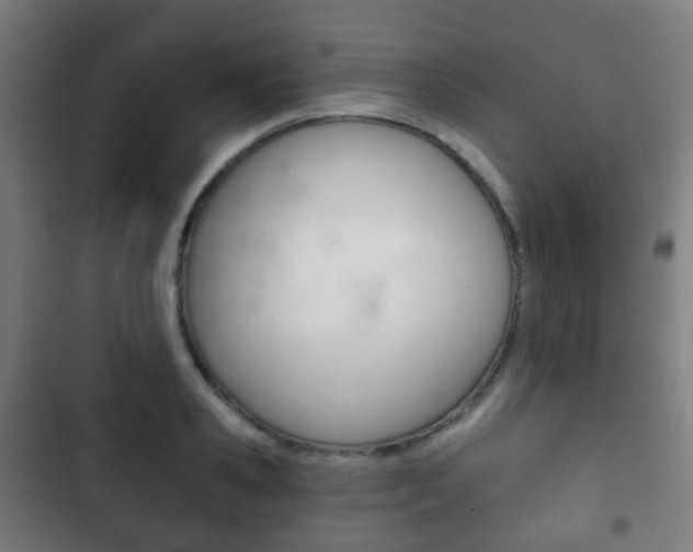 X0000103400941200809120920
