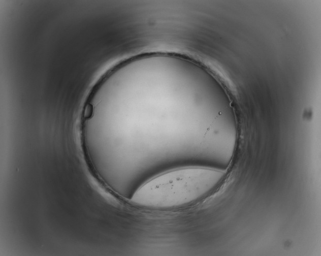 X0000103400942200809120920