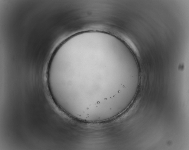 X0000103400944200809120920