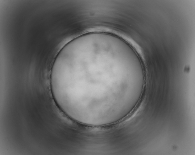 X0000103400945200809120920