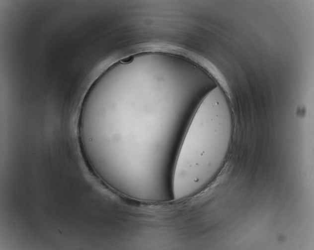 X0000103400946200809120920