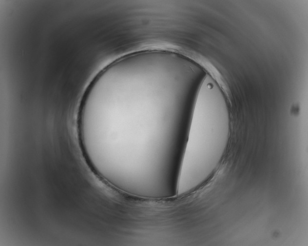 X0000103400947200809120920